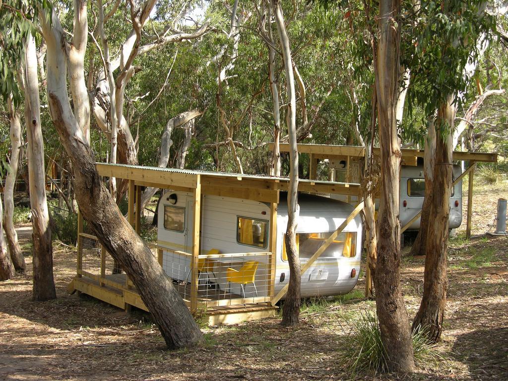 Bimbi Park - Camping Under Koalas Cape Otway Exterior photo